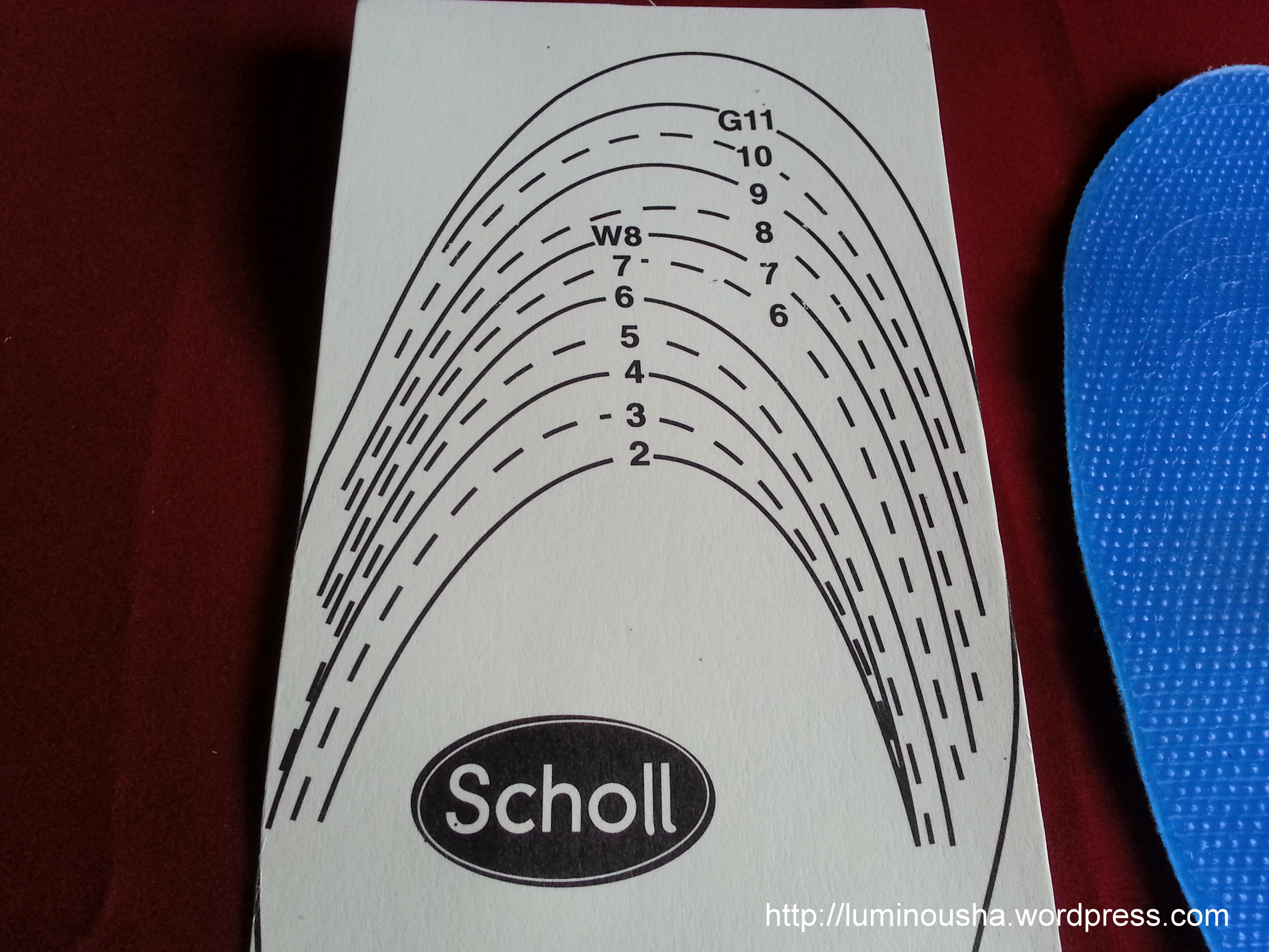 Scholl Gel Cushions – Luminousha Blog